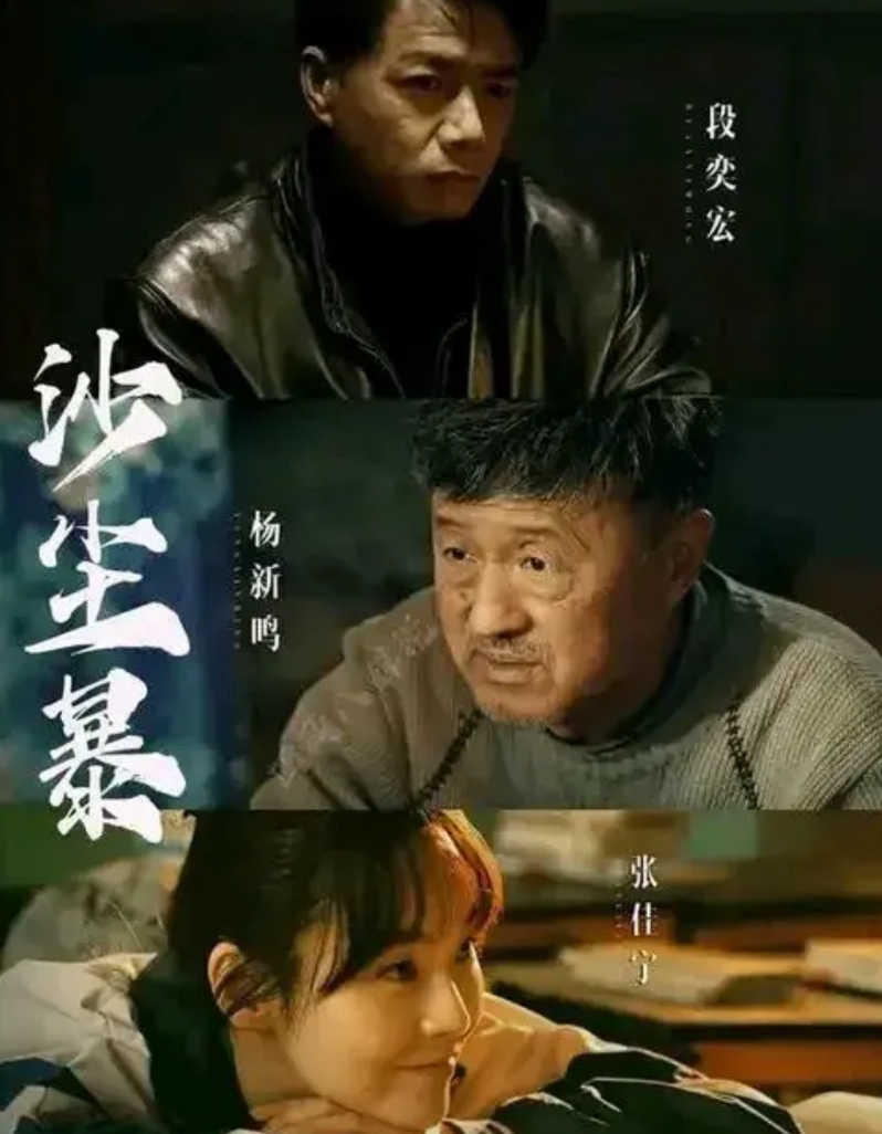 《沙尘暴》的突破口是《沙尘暴》这本书。
丁宝元看了几年的《沙尘暴》。
现在陈江河