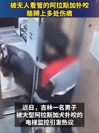 “太气人！”4月30日，吉林一快递员在乘电梯时，被一只无人看管的大型犬疯狂撕咬，