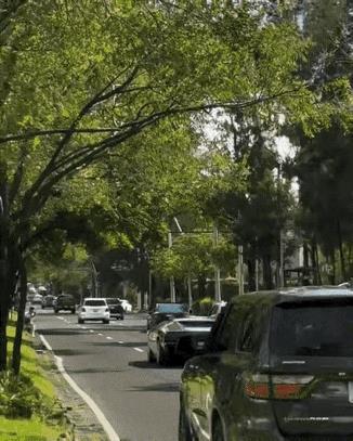 起猛了，看到鼠标在大马路上狂奔