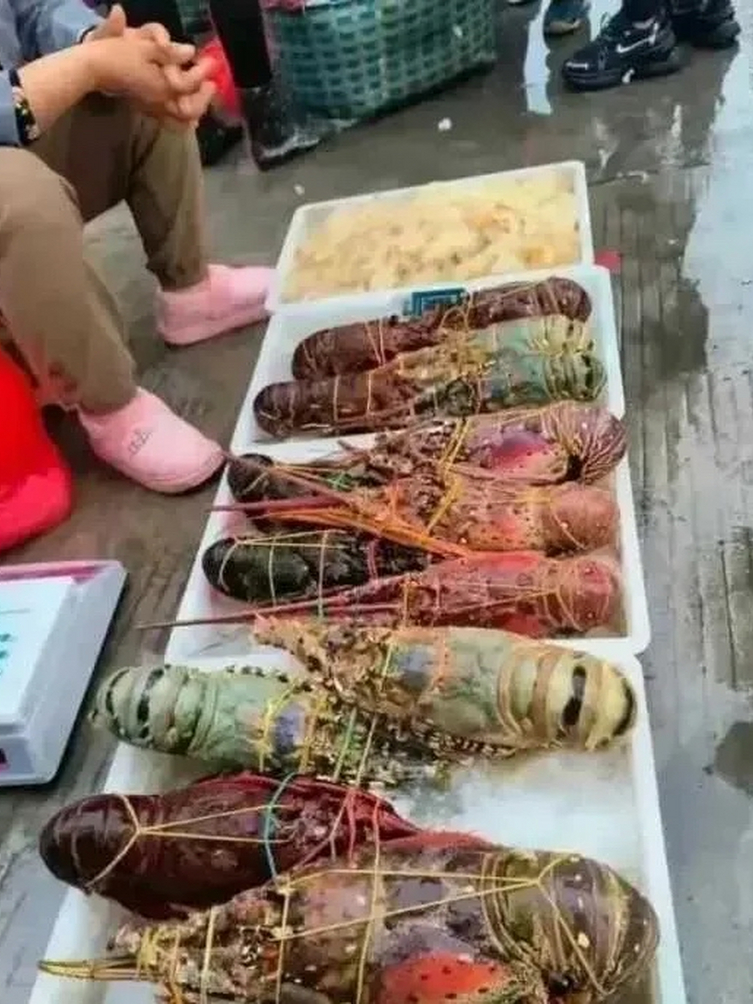 你这样摆，搞得我吃的起一样