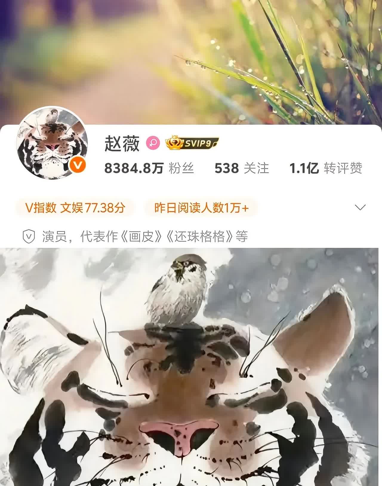 赵薇微博头像，呆萌的老虎头上一只小燕子，网友猜测这是乖乖虎苏有朋和小燕子在一起了