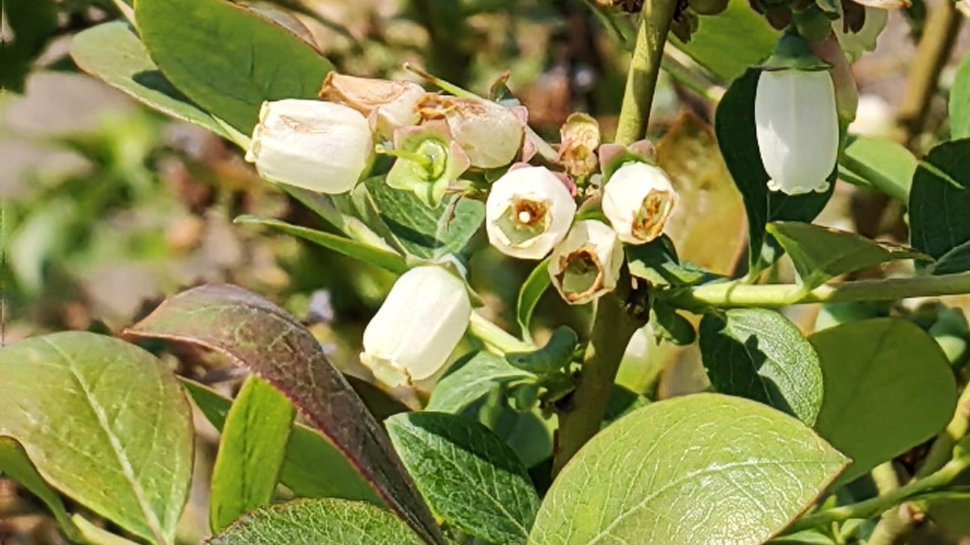 职场有小节，别再讨人嫌（上）