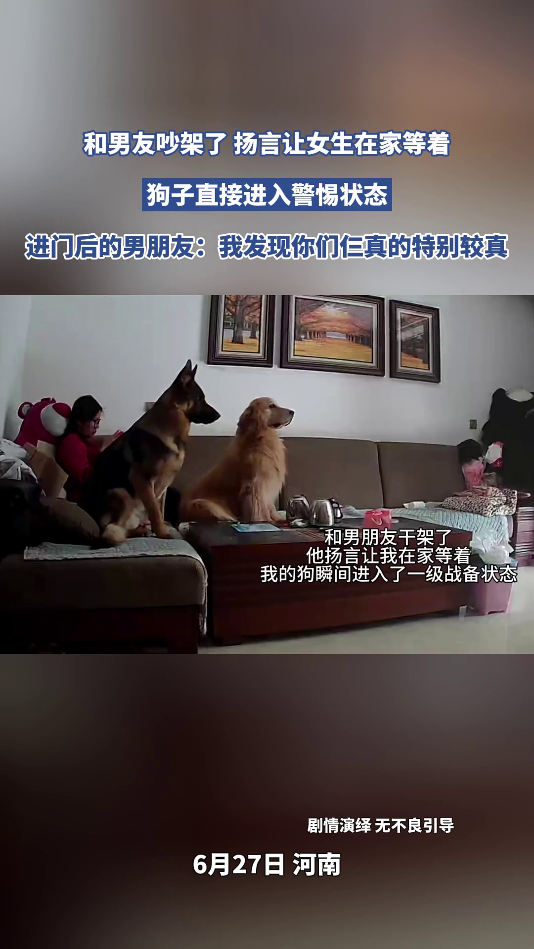和男友吵架了 扬言让女生在家等着，狗子直接进入警惕状态