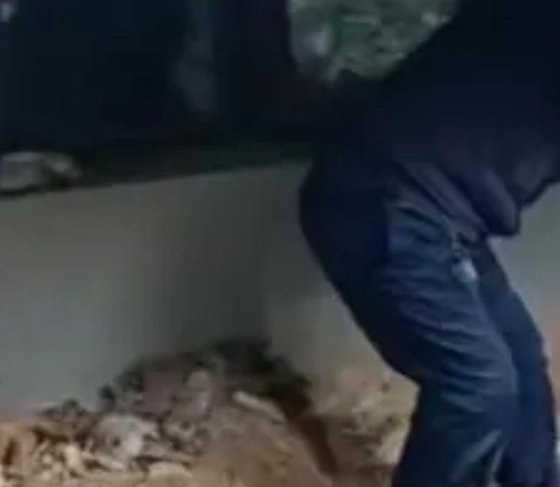 河南女子买了一套带院子的新房，装修时在地下竟挖出男性尸骨！女子吓得腿软，要求退房