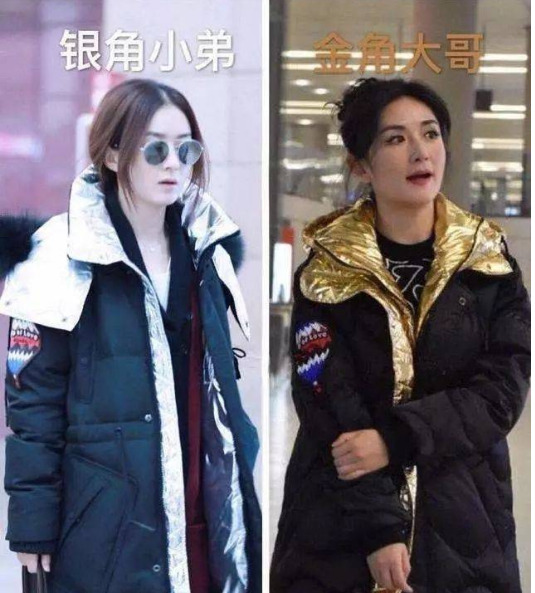 袁咏仪不喜欢赵丽颖角色











袁咏仪直言不喜欢赵丽颖在《谁是凶手