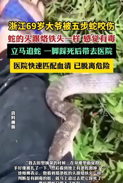 “胆子真大啊！”浙江69岁大爷去田间摘菜，突然感觉手被什么东西扎了一下，随即看到