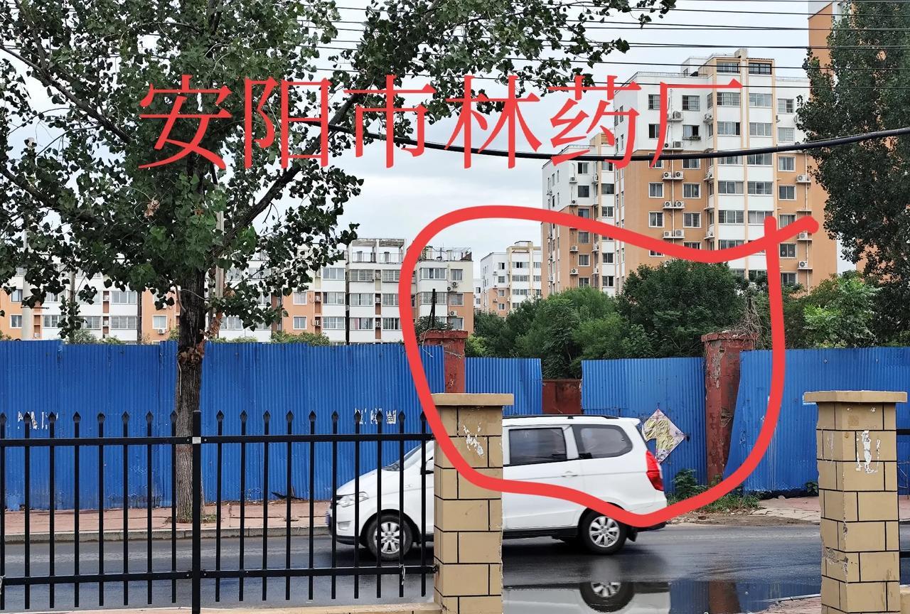 今天晨练突然发现，安阳市林药厂里的房子也拆了，也加了围挡了，看来“安阳市林药厂”