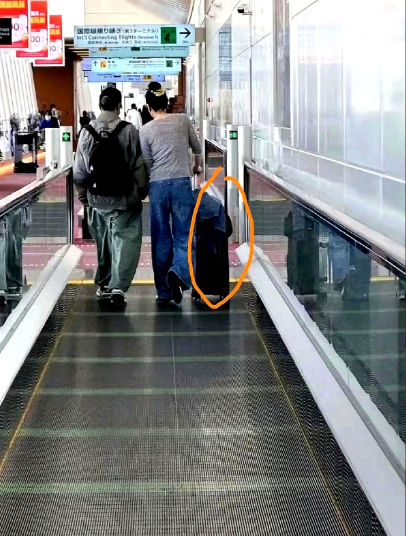 看了谢霆锋跟王菲出游的新闻
我问老公，为什么这么多年了，谢霆锋还是很爱王菲。
老