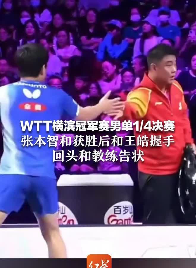 自从张本智和投诉王皓教练握手敷衍后，王皓教练就更好的在握手环节展现我们的大气与包