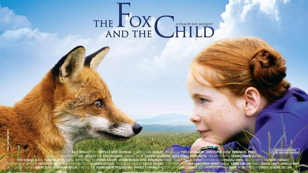 适合一个人观看的温馨治愈电影