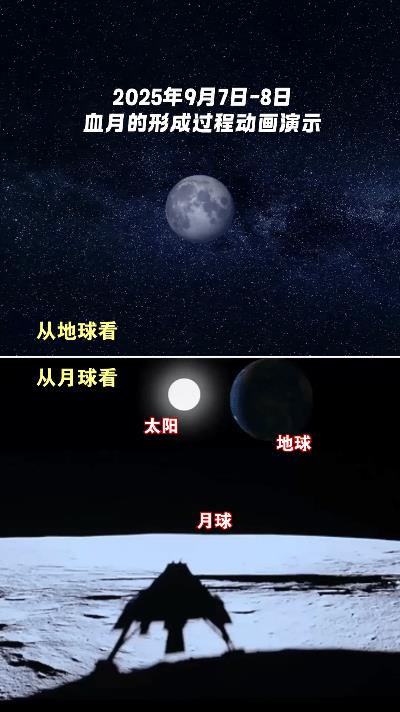 血月全过程惊呆网友！这演示堪比科幻大片  
刷到宇宙视野的视频直接跪了！  
月