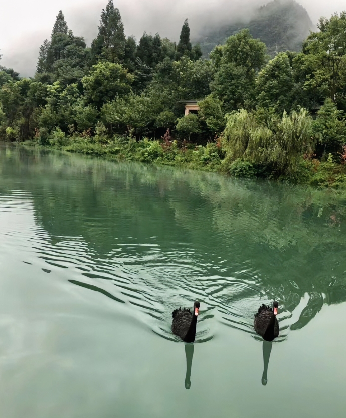 做父母的一定要告诉自己的孩子：

年轻时不结婚不要孩子，看起来是很轻松、潇洒，没