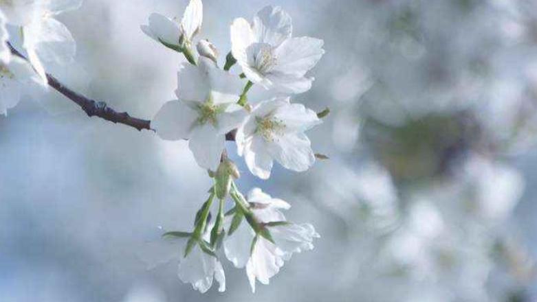 一个得过重度抑郁的人，真正痊愈了会是什么样子？