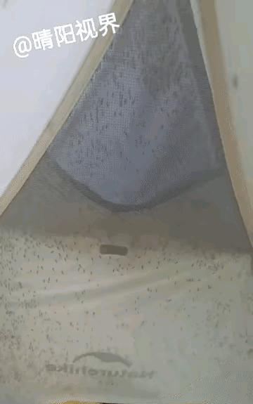 到点开饭了你怎么还不出来啊。