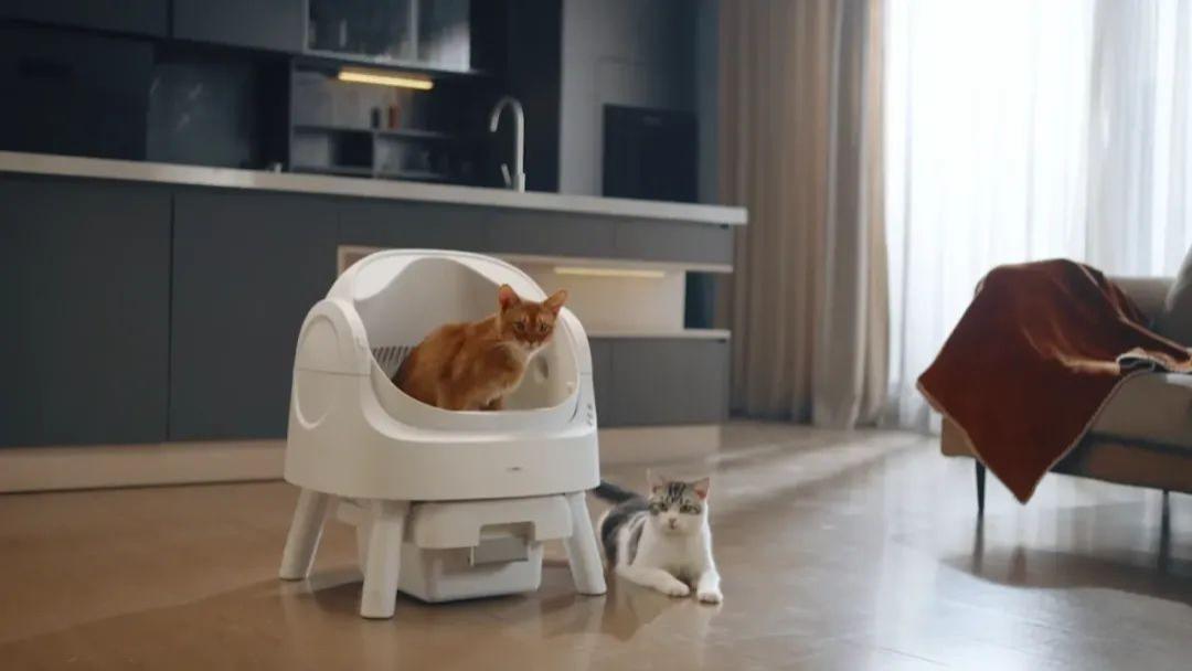 单款猫砂盆卖2亿！99年女生神秘操作拿下美国市场