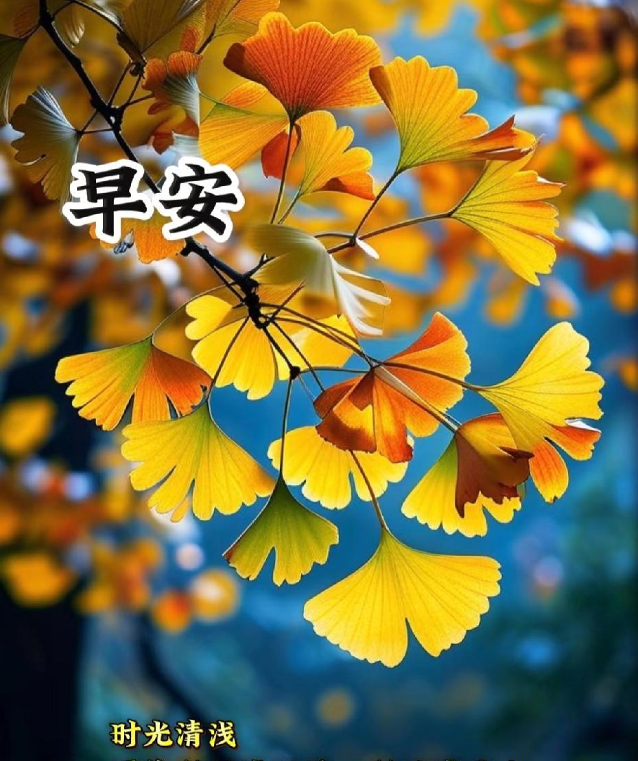 [玫瑰]早上好[玫瑰]
时光清浅
愿你所遇皆温柔，
所见皆璀璨
愿生活如诗如画，