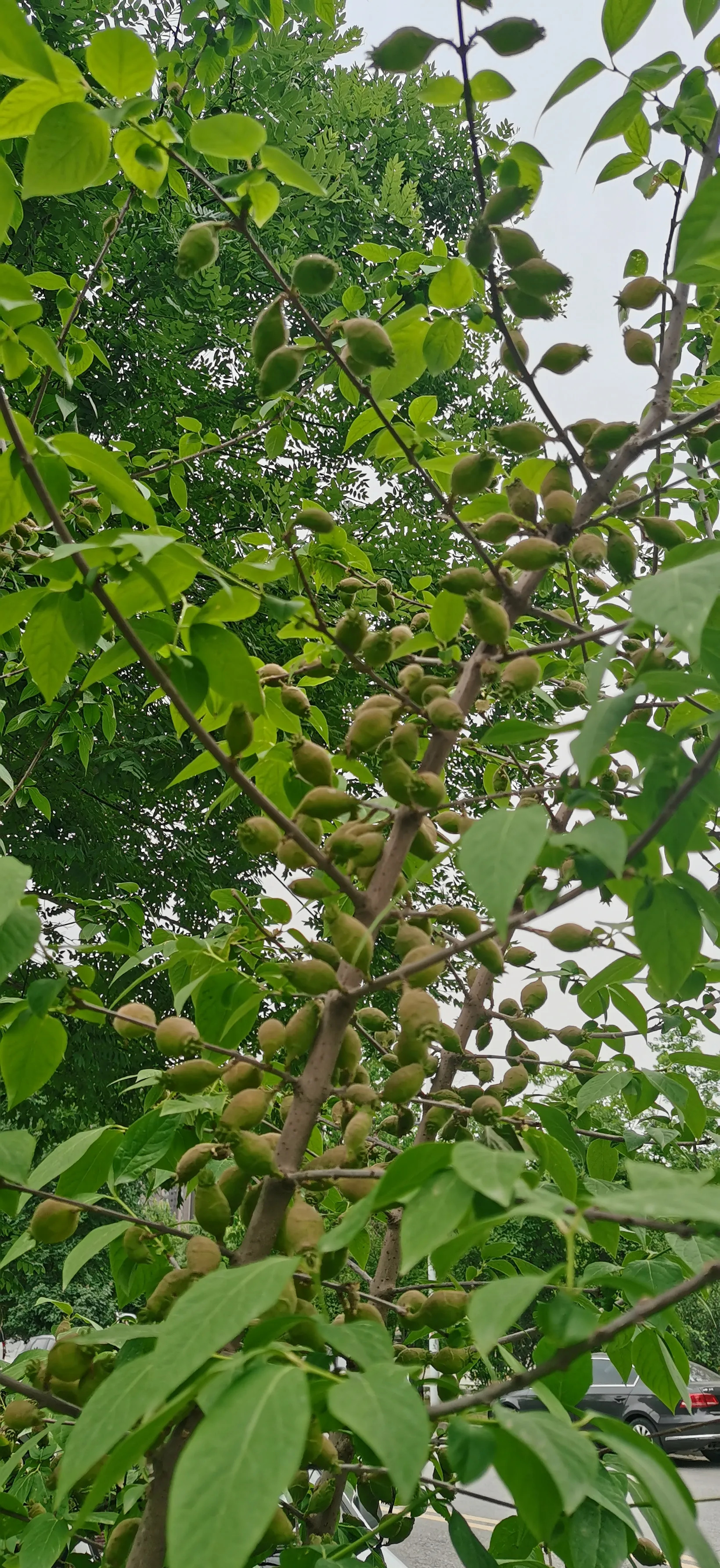 伊朗：这回真要动手了











---











**啥