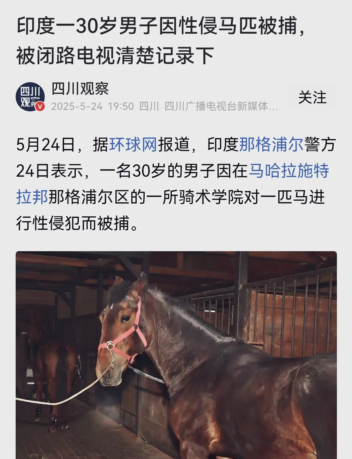 印度奇葩男竟对母马下手被抓











这简直是闻所未闻，一个大活人，