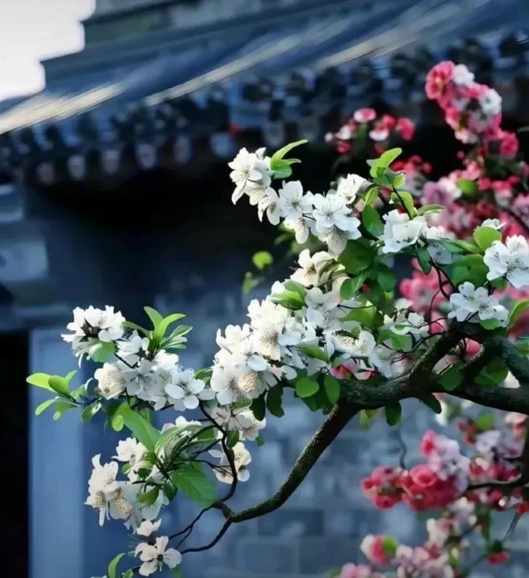 #《沁园春·悟世释怀》#诗词欣赏#
或有或无，或去或留，取舍关情。叹常为执念，身