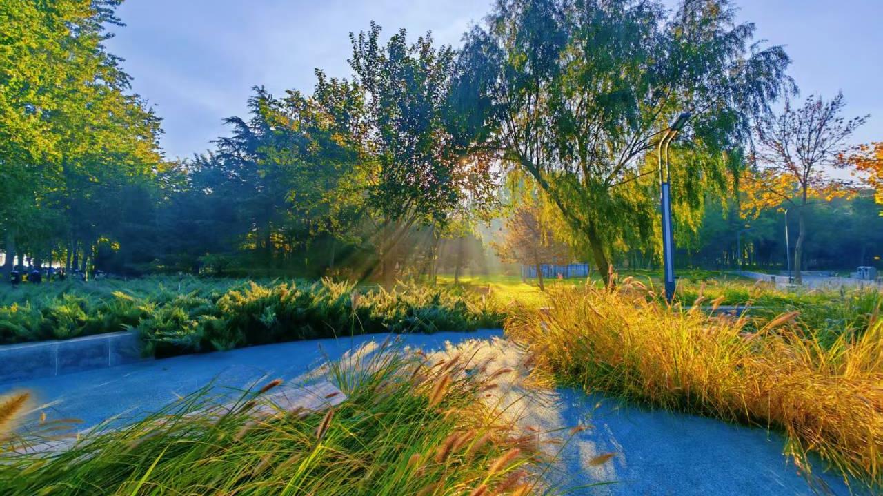 限量版的晚安心语，句句入心！