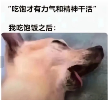 吃饱饭才不适合干活