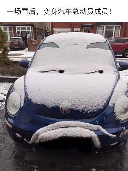 也是离了大谱了