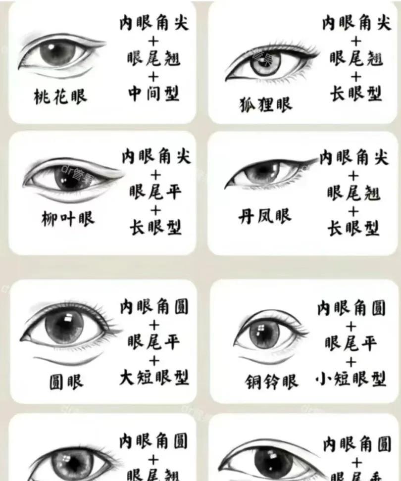 以前光会看谁是双眼皮，谁是单眼皮，也不知道叫什么名字，原来这么多年了我是垂眼，我