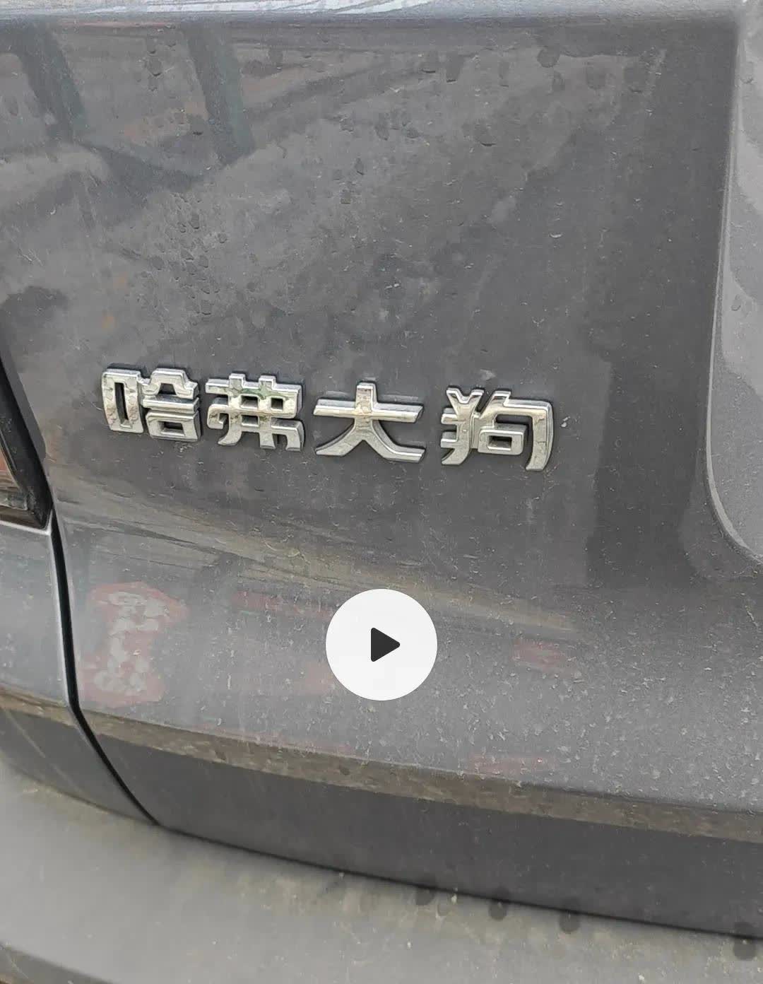 哈弗大狗

有天在路上看见一辆汽车尾部顶着这么几个字，很是好奇，随手一拍。得