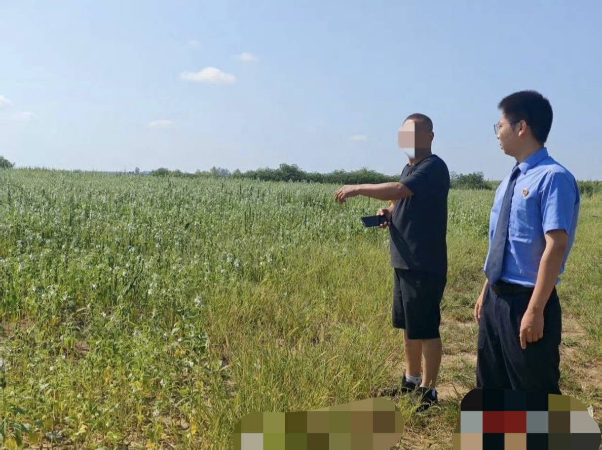 男子挖空25亩良田盗走8400吨“土黄金”，最终蹲了大牢！
大家好，今天来说个关