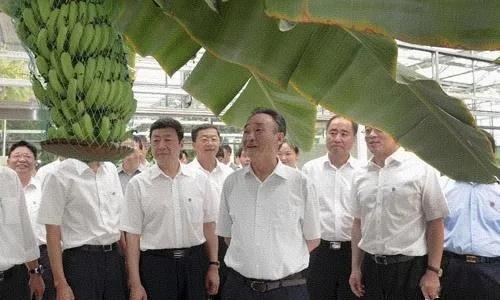 2012年7月16日至21日，吴邦国奔赴黑龙江，深入大兴安岭、佳木斯、抚远、鸡西