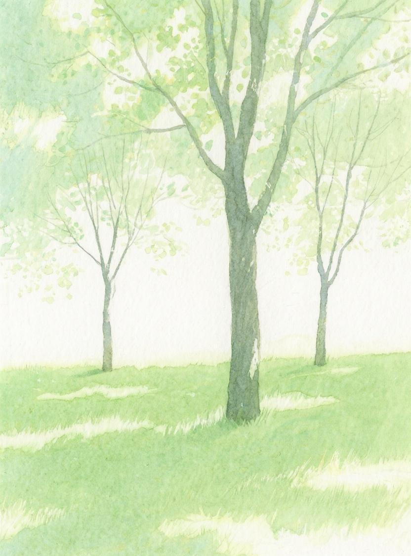 #AI随心绘#三棵树于绿野间独立，在淡光里静守。似在诉说岁月悠然，人生漫漫。