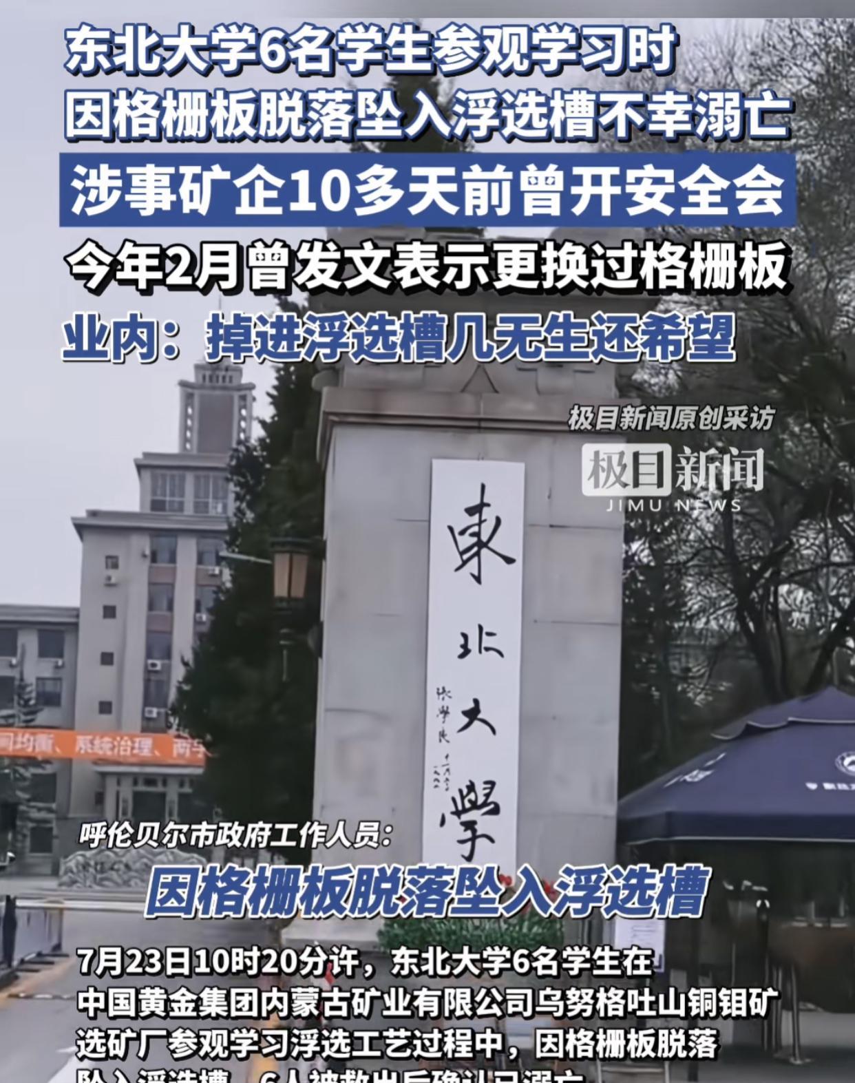 掉入浮选槽的真实感受？看看DeepSeek怎么回答！
大家好我叫王建军（化名），