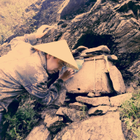秦岭一白