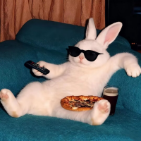 追着球跑的小兔