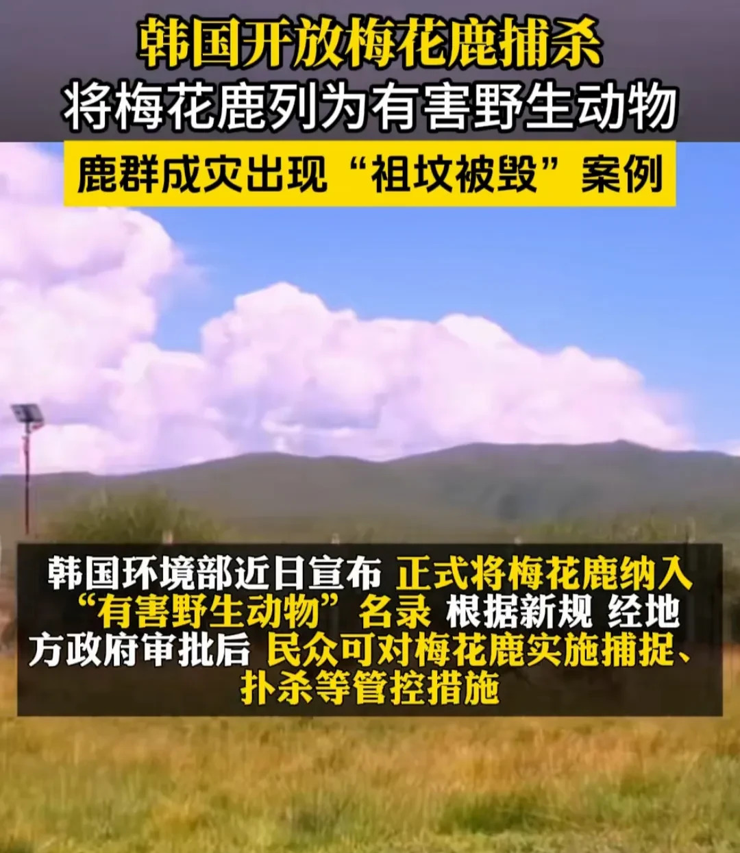 大连梅花鹿太多该咋办











---











哎呀妈