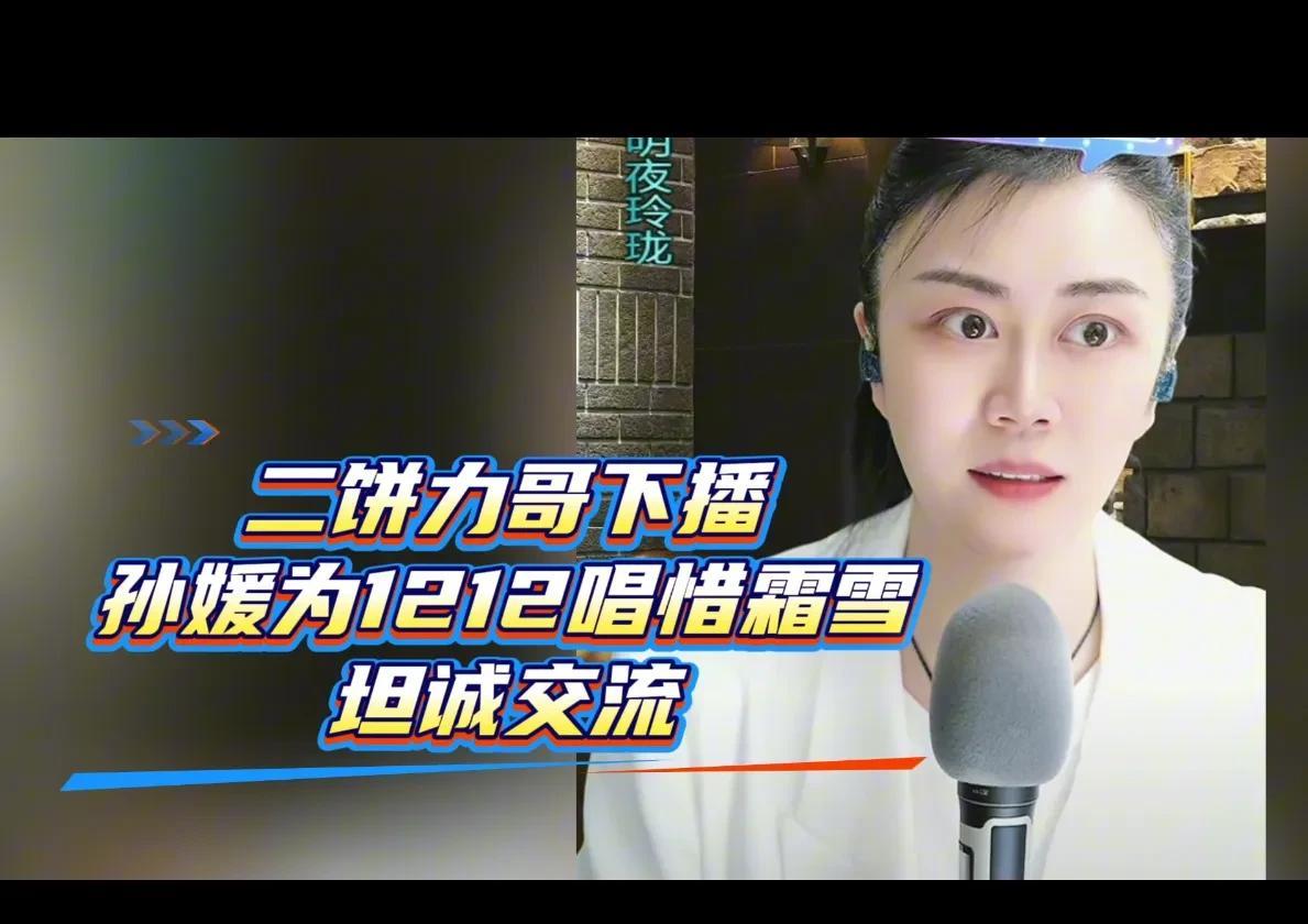 孙媛把攻击诋毁力饼嫄及两个直播间大哥的网友归纳为“三类人”，显然不是随口一说，而