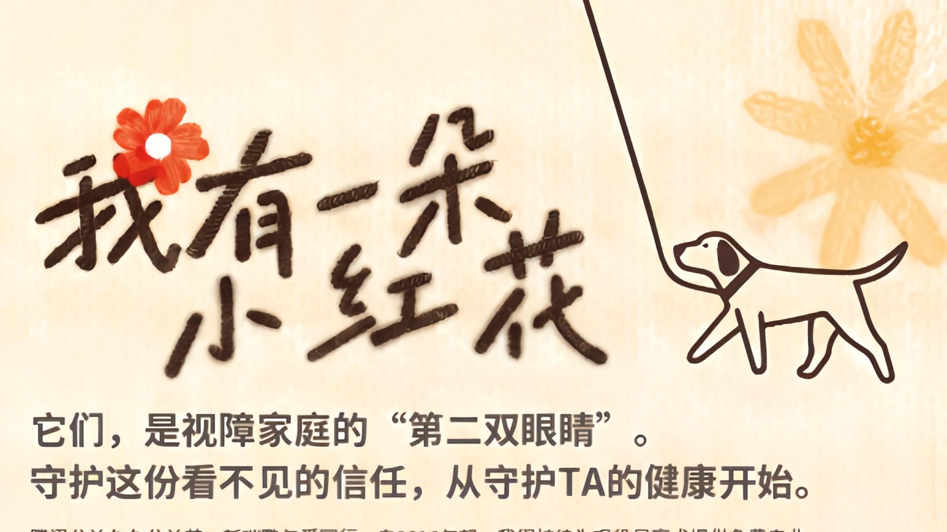 新瑞鹏集团携手腾讯公益“久久公益节”，以专业医疗守护导盲犬健康