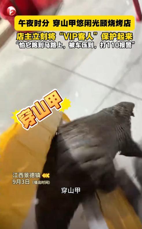“活久见！”9月2日，江西景德镇，烧烤店老板看店时，突然看到门口有只黑色的动物跑