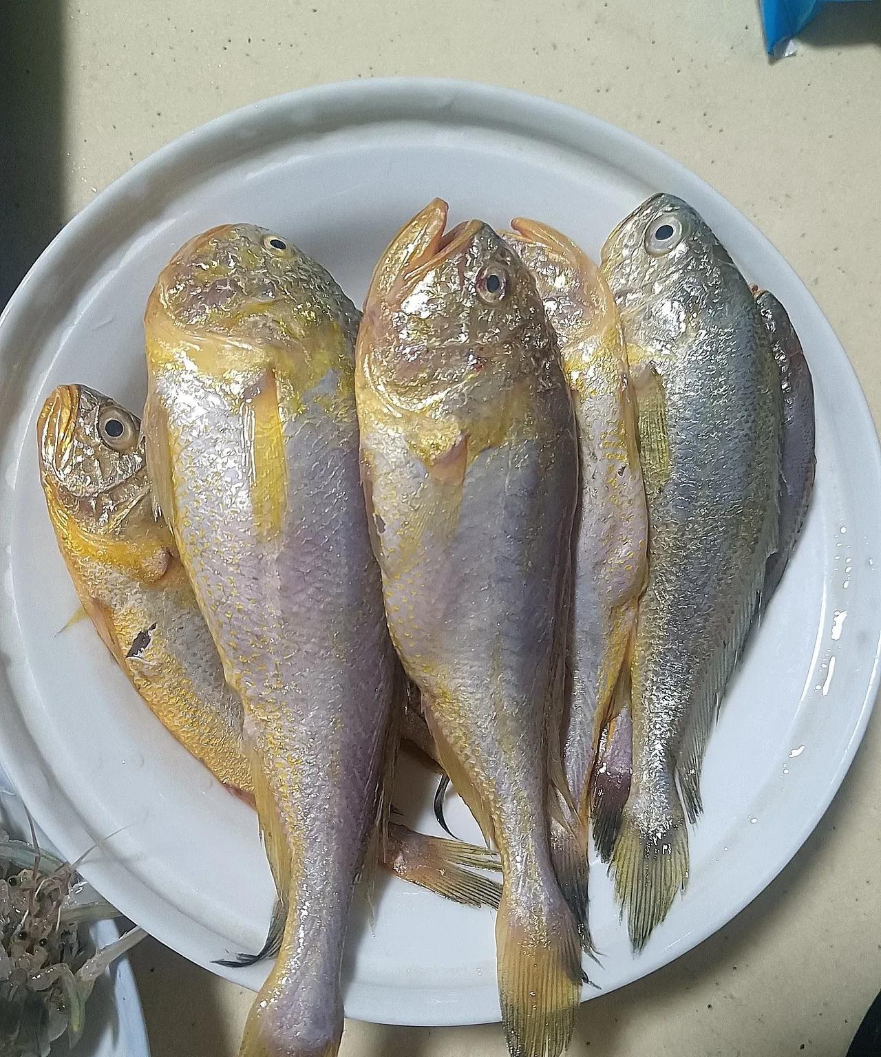 今天下午陈先森的朋友送来一大包刚出海的浙东海鲜，有小黄鱼、梭子蟹、皮皮虾、鲳鱼、