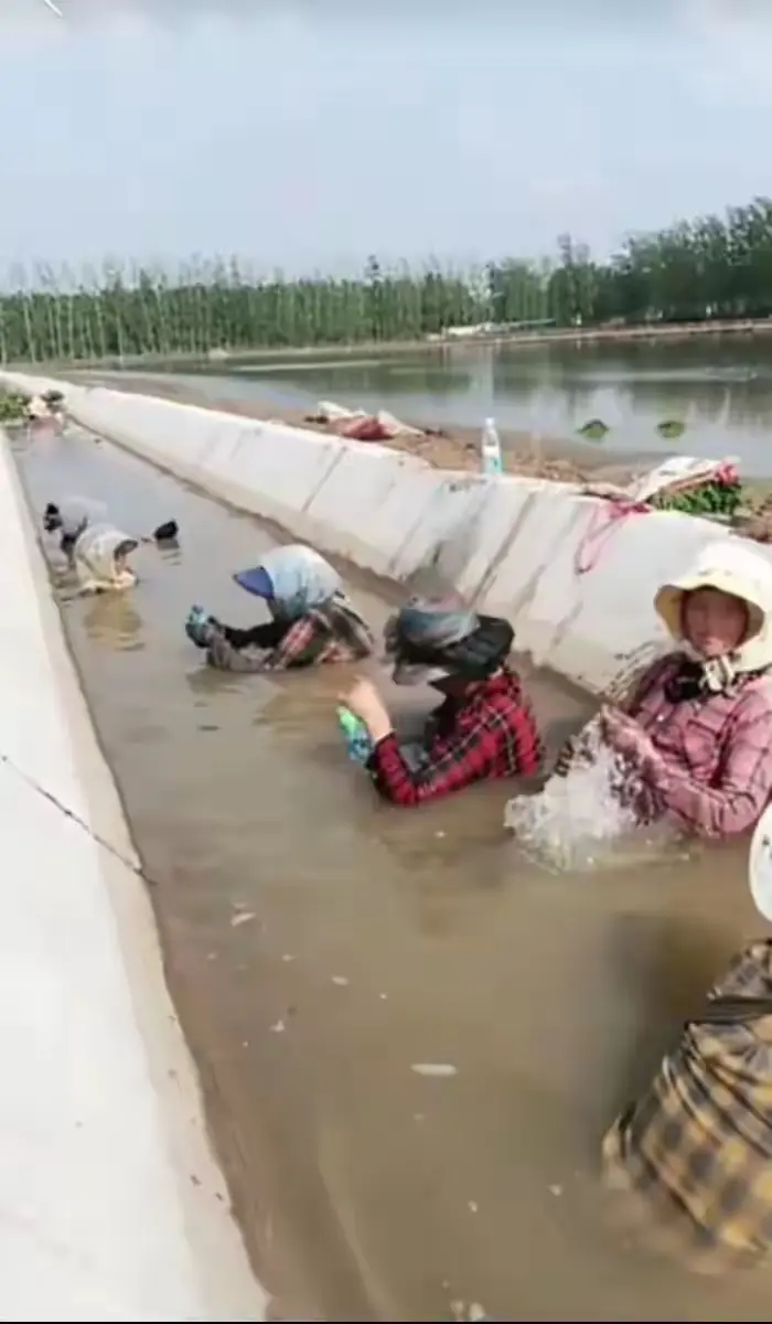 致敬那些在高温下打工的劳动者。