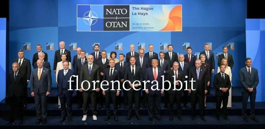 北约联盟更新全家福，小泽out，英国首相站前排，法国总统往后第二排。北约成立于1