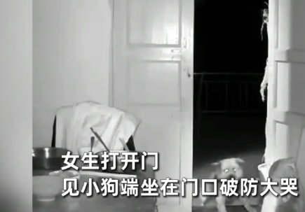 “万物皆有灵！”6月10日，四川自贡，一位老人猝然离世，家里养的小狗竟然凭记忆和