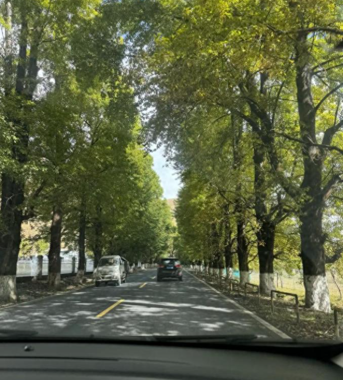 退休后改床车自驾游，用电车还是油车改好，我退休五年，都测试了