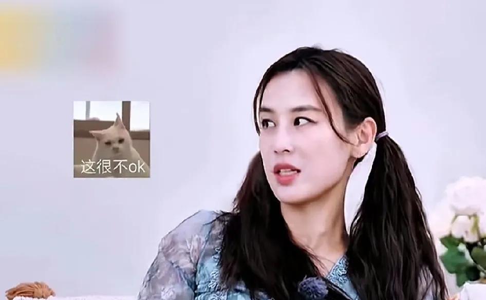 看来她之前和杨子婚前同居以及未婚生子肯定受到不少非议，现在才会说出此等感受你。