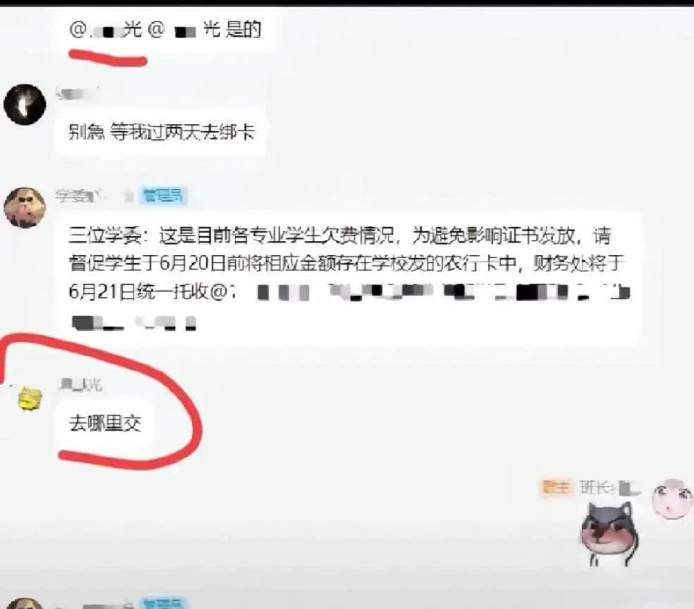 谢浩男大学本科班长发出的一组截图令人揪心，学校催缴学费，那时浩男还叫杨旭光，他问