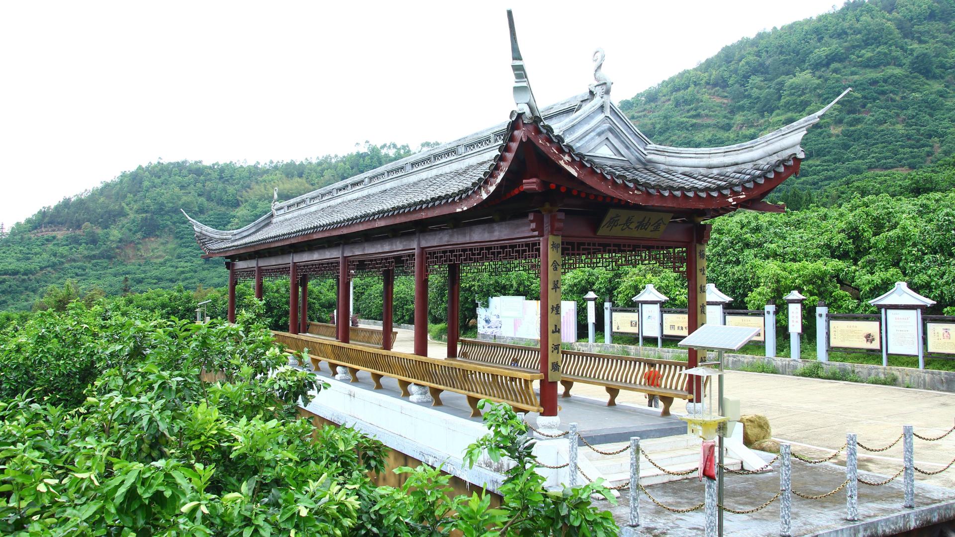 走，带你去叶剑英元帅的故乡梅县雁洋镇，看看梅州第一家金柚公园