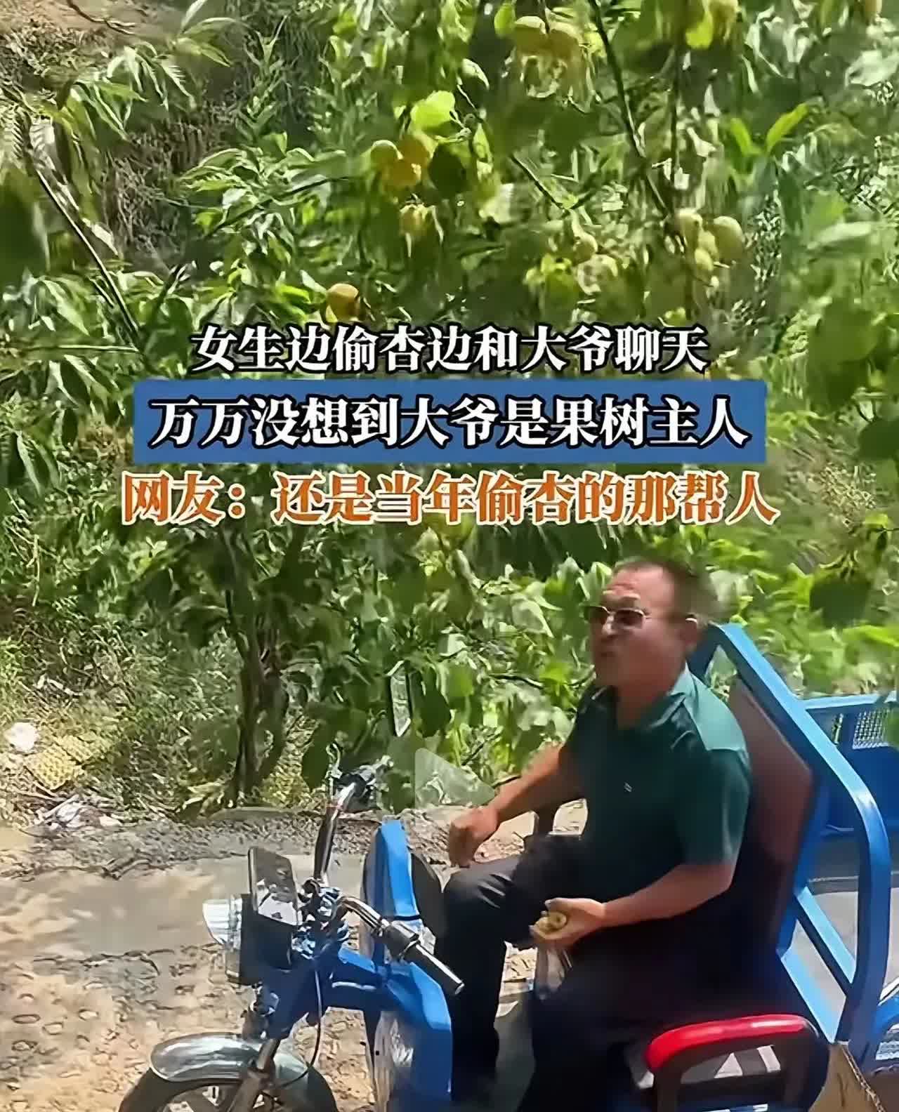 离谱！偷杏被抓现场变欢乐局？

​​谁能想到！偷杏被主人撞个正着，近日有一女