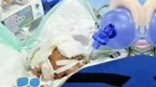 7岁男孩放学路上遭三只恶犬围攻！撕咬瞬间，谁来守护孩子的安全？