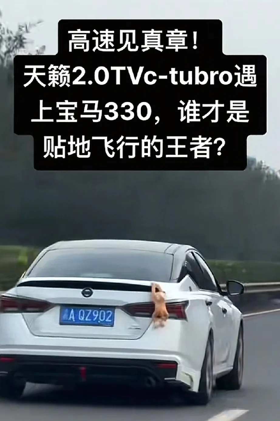 天籁作为舒适车型，搭配马力这么大的发动机，而且底盘跟动力不匹配，再来个CVT变速