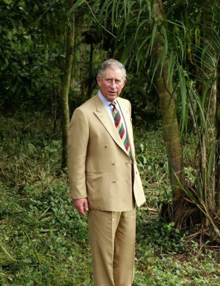 英国国王查尔斯身体抱恙











查尔斯国王健康状况引担忧！难道真是